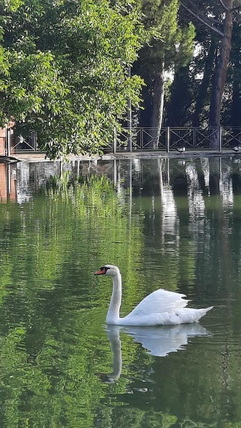 Aromas Del Jiloca Daire Calamocha Dış mekan fotoğraf